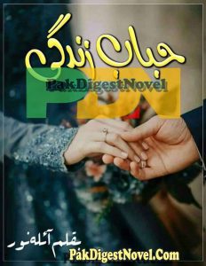 Hijab Zindagi (Novel Pdf) By Aila Noor