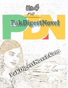 Pachtawa (Novel Pdf) By Shabana Aslam