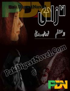 Anna Zadi (Novel Pdf) By Noor Ul Huda