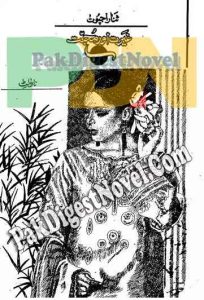Geerat Aur Mohabbat (Novelette Pdf) By Sana Rajpoot