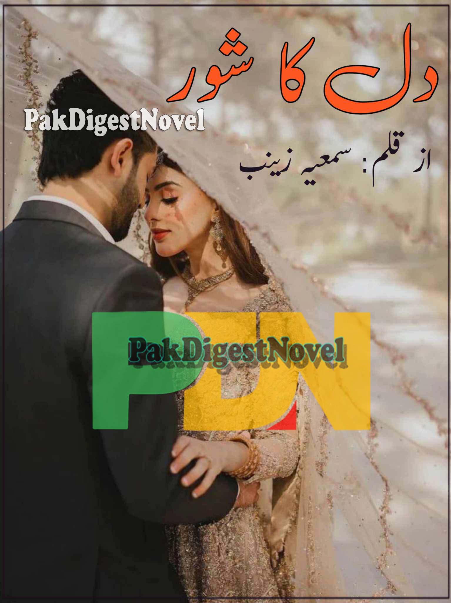 Dil Ka Shor Season 1 (Novel Pdf) By Sumaiya Zainab